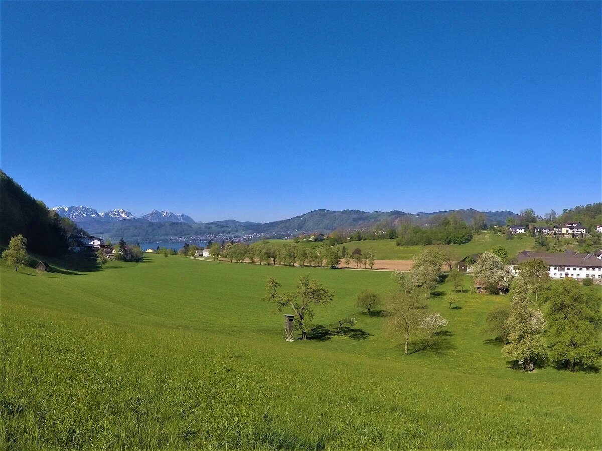 Höllengebirge Panorama